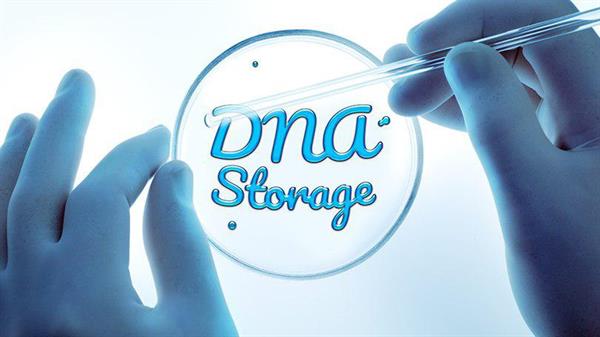 مایکروسافت در فکر ذخیره سازی اطلاعات بر روی DNA